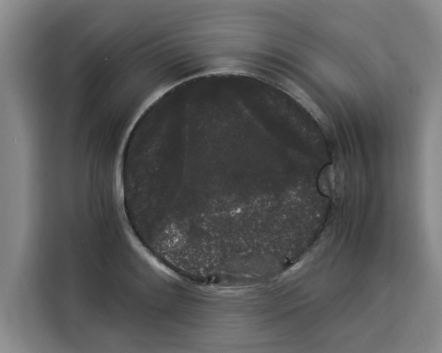 X0000113261084200910221034