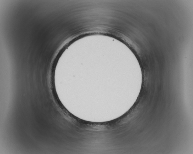 X0000113261085200910221034