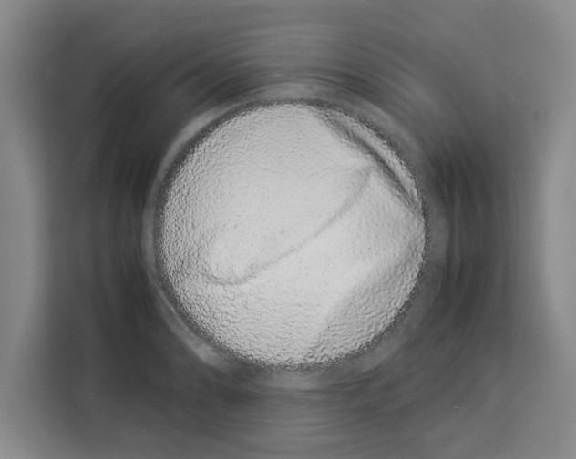 X0000113261086200910221034