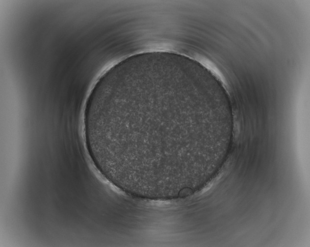 X0000113261088200910221034