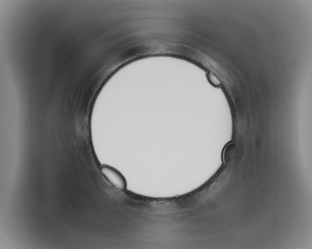 X0000113261089200910221034