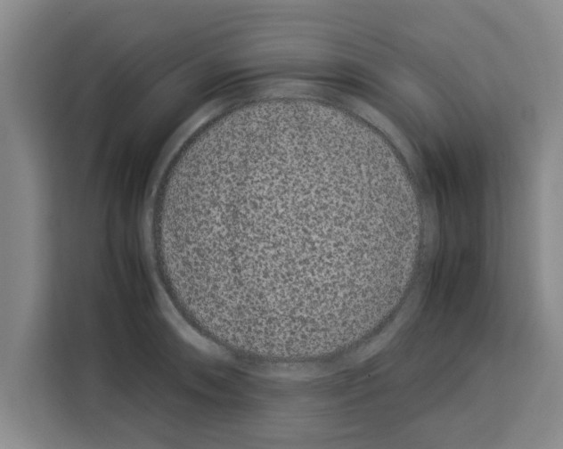 X0000113261090200910221034