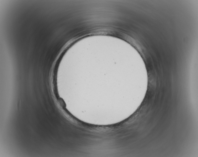 X0000113261091200910221034