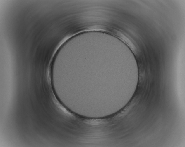 X0000113261092200910221034