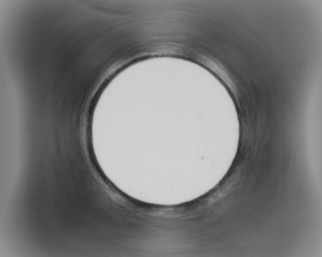 X0000113261093200910221034