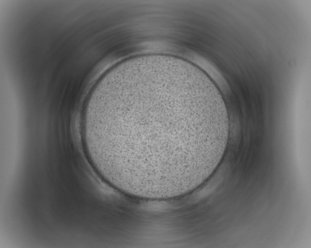 X0000113261094200910221034