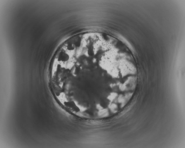 X0000113261095200910221034