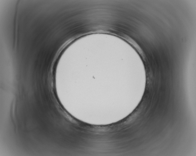 X0000113261096200910221034