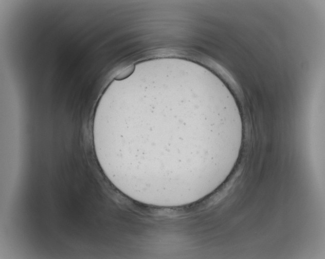 X0000113261097200910221034