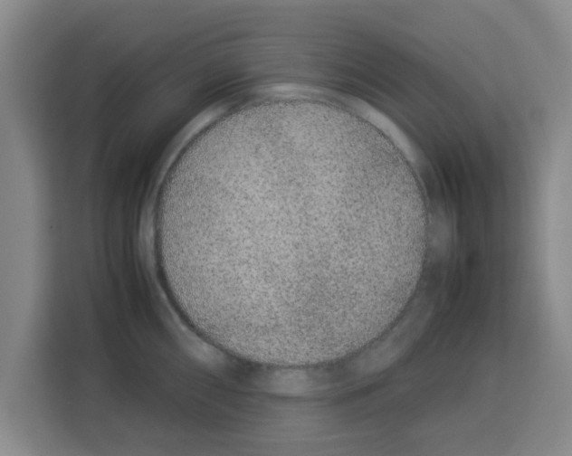 X0000113261098200910221034