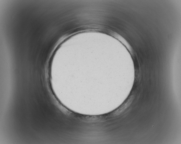 X0000113261099200910221034