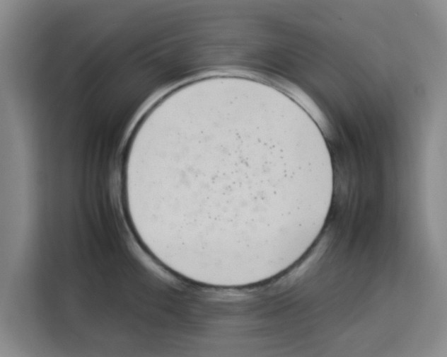 X0000113261100200910221034