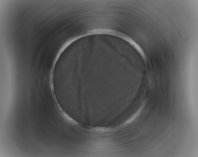 X0000113261102200910221034