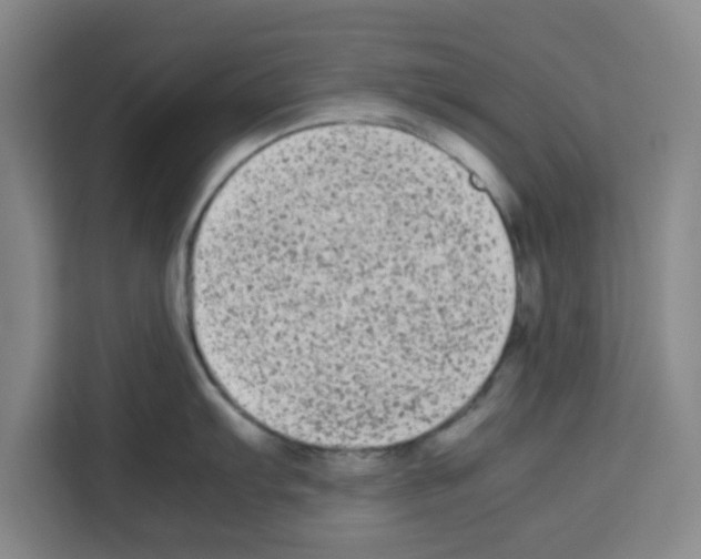 X0000113261103200910221034