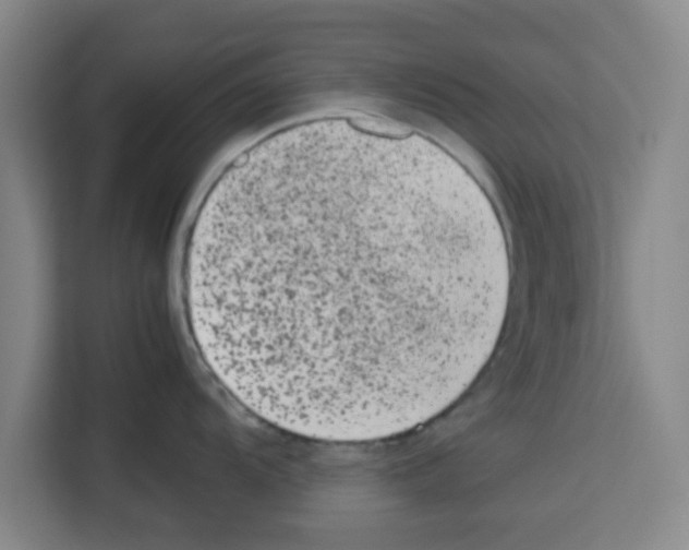 X0000113261104200910221034