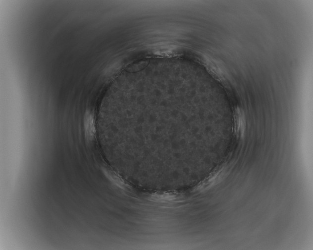 X0000113261106200910221033