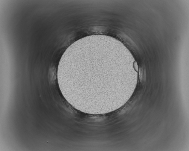 X0000113261107200910221033