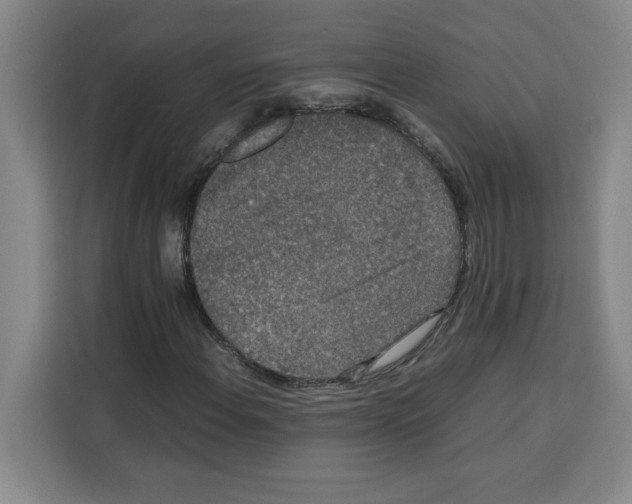 X0000113261108200910221033