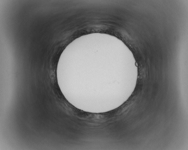X0000113261109200910221033