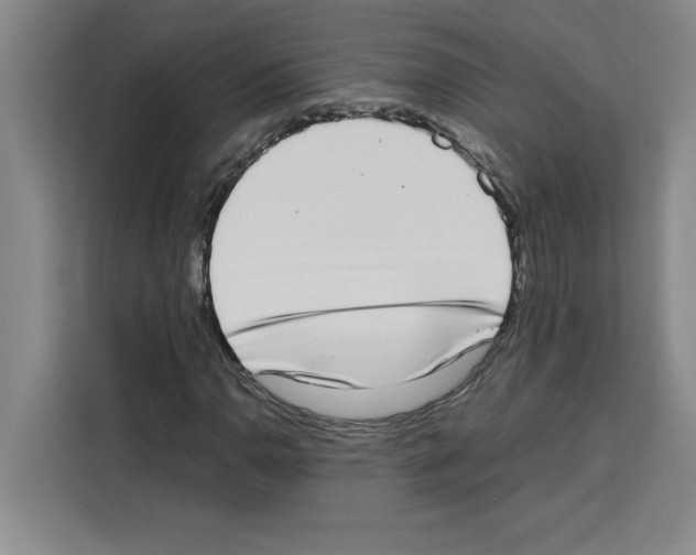X0000113261110200910221033