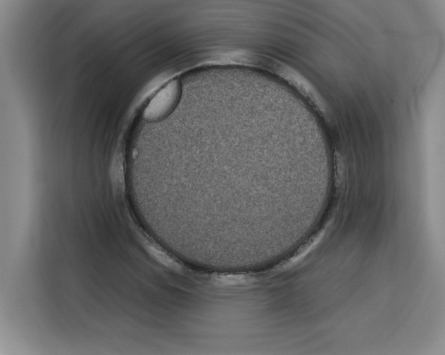 X0000113261114200910221033
