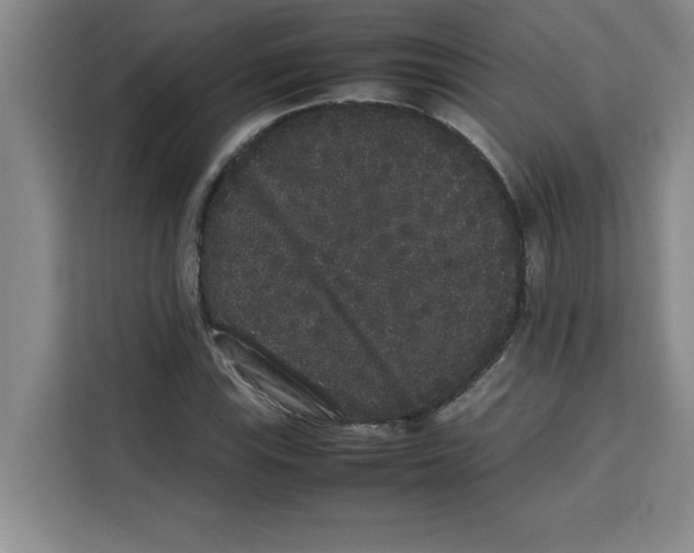 X0000113261115200910221033