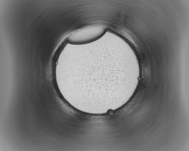 X0000113261116200910221033