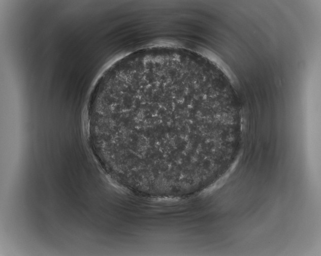 X0000113261117200910221033