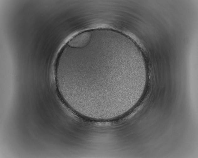 X0000113261118200910221033