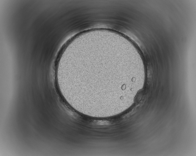 X0000113261119200910221033