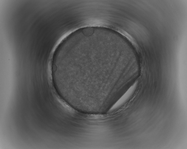 X0000113261120200910221034