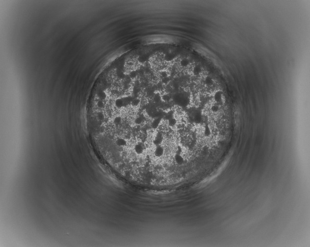 X0000113261121200910221034
