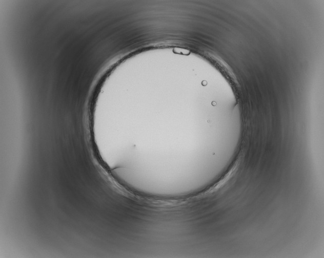 X0000113261122200910221034