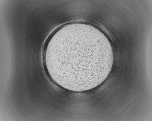 X0000113261124200910221034