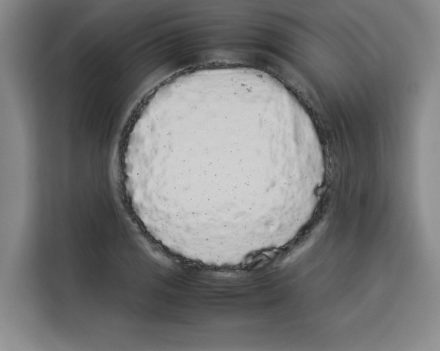 X0000113261125200910221034