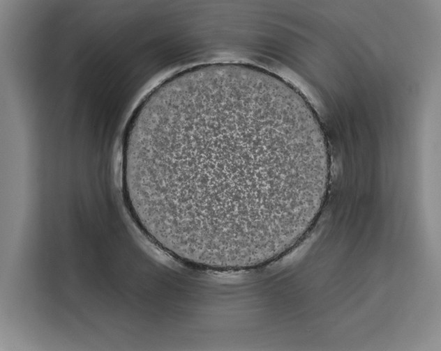 X0000113261126200910221034