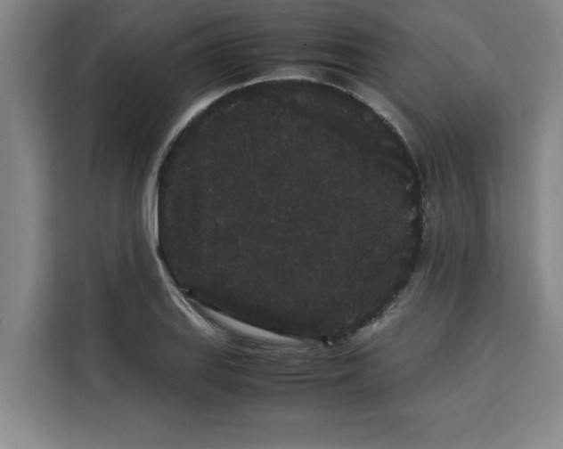 X0000113261127200910221034