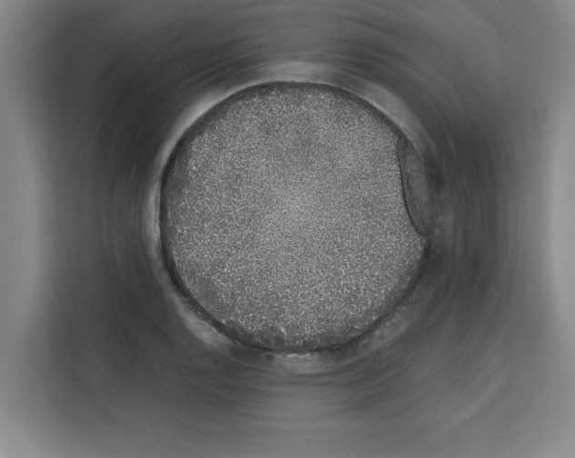 X0000113261128200910221034