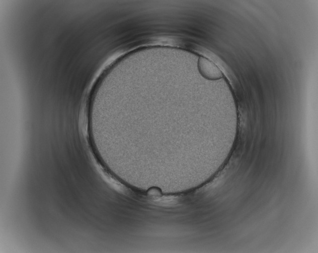 X0000113261131200910221034
