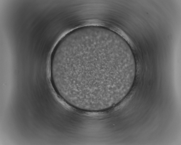 X0000113261132200910221034