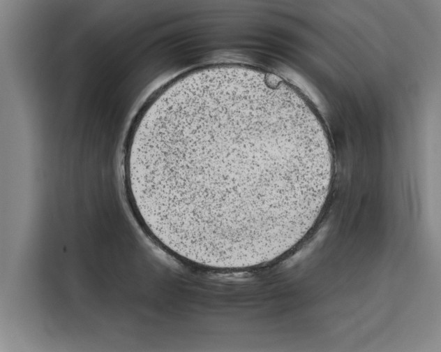 X0000113261133200910221034