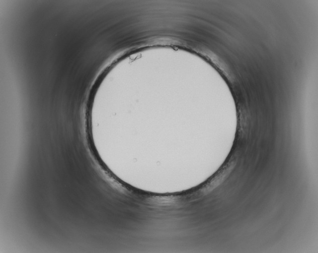 X0000113261134200910221034