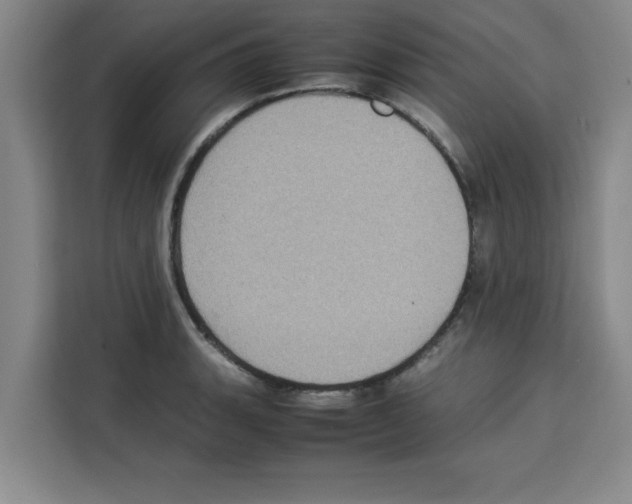X0000113261135200910221034