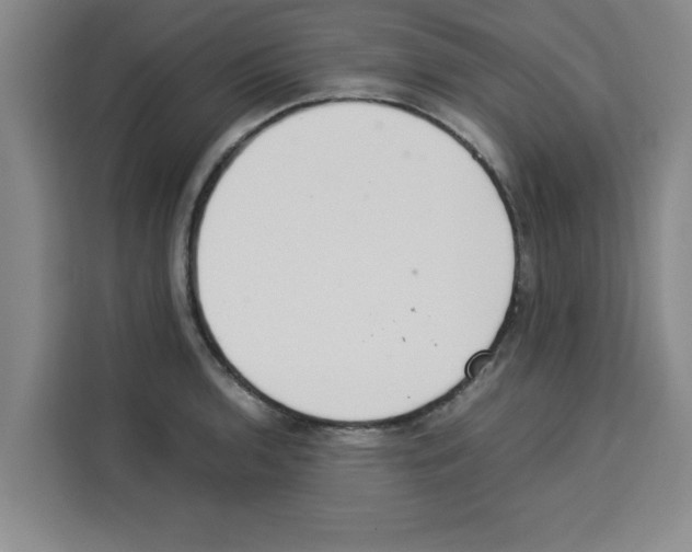 X0000113261136200910221034
