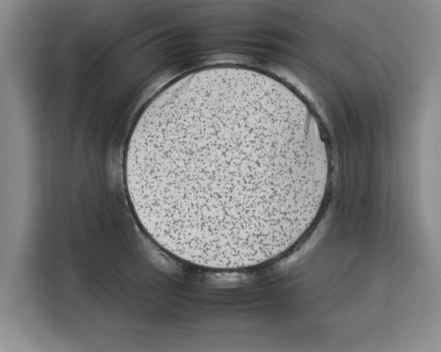 X0000113261137200910221034
