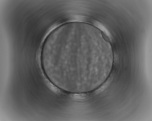 X0000113261138200910221034