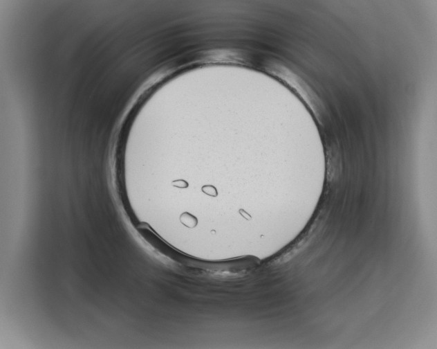 X0000113261139200910221034
