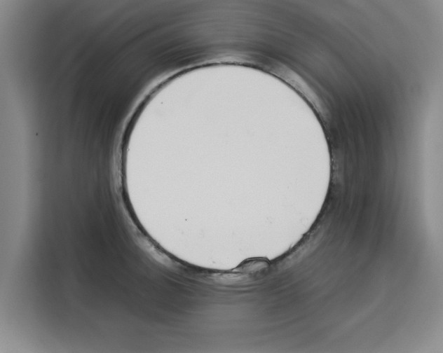 X0000113261140200910221034