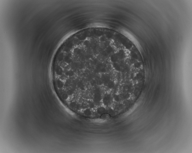 X0000113261141200910221034