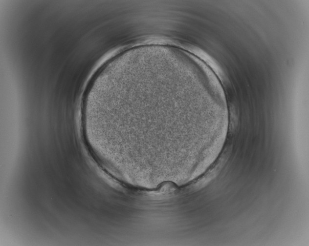 X0000113261142200910221034